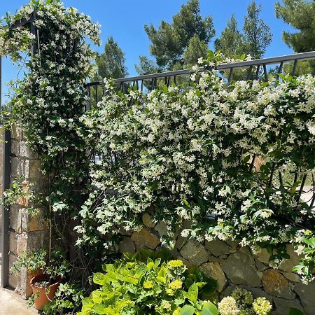 Villa Pine Bar Dış mekan fotoğraf