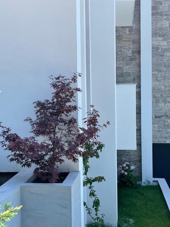 Villa Pine Bar Dış mekan fotoğraf